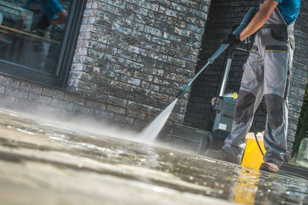 Animal Enclosure Cleaning in Macdonnell Heights, NY