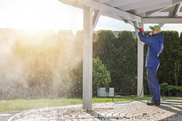 Best Sidewalk and Walkway Cleaning  in Macdonnell Heights, NY